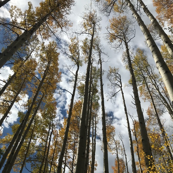 Meet your Posher, Kelli - Picture 6 of 6